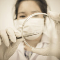 InVitro InVitro